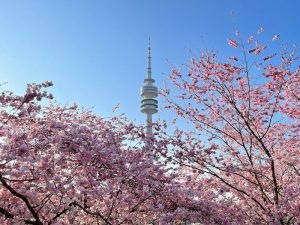 Munich Olympiapark