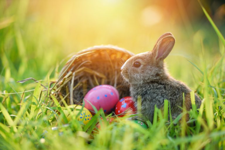 Ostern in München:  Ein Frühlingsfest